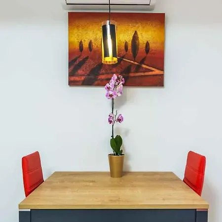 Lejlighed In Rovinj/istrien 11466